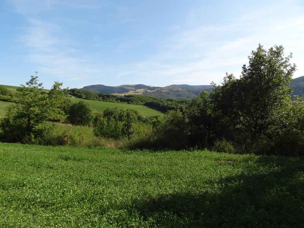 Les Hauts De Camares